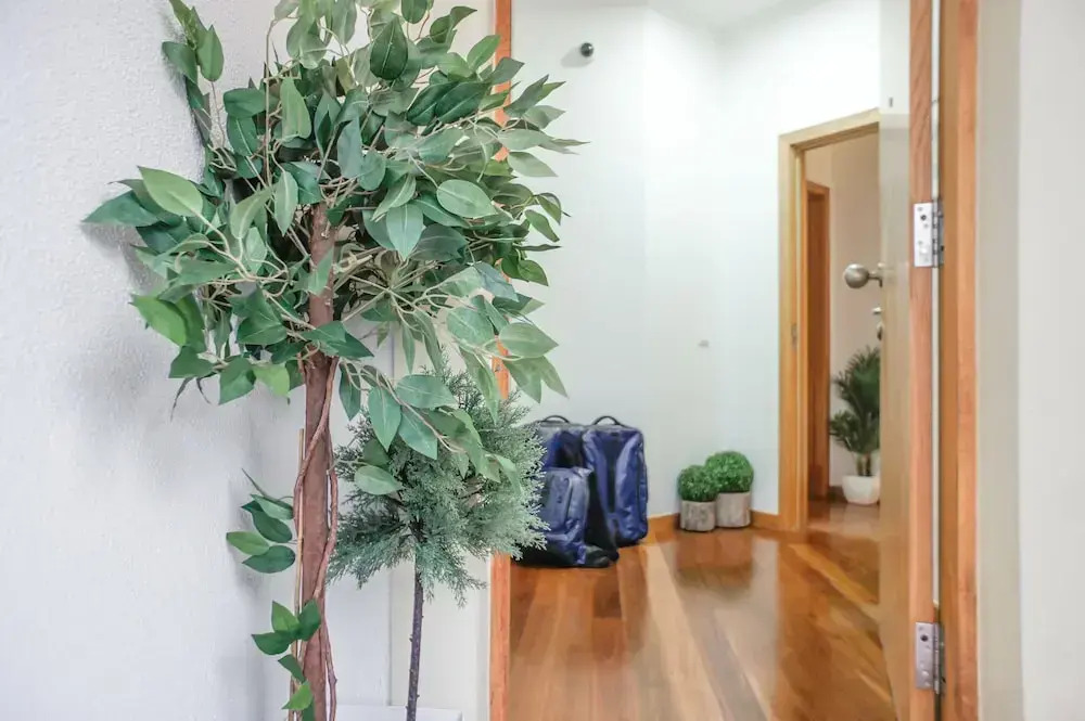 Trendy Apartments