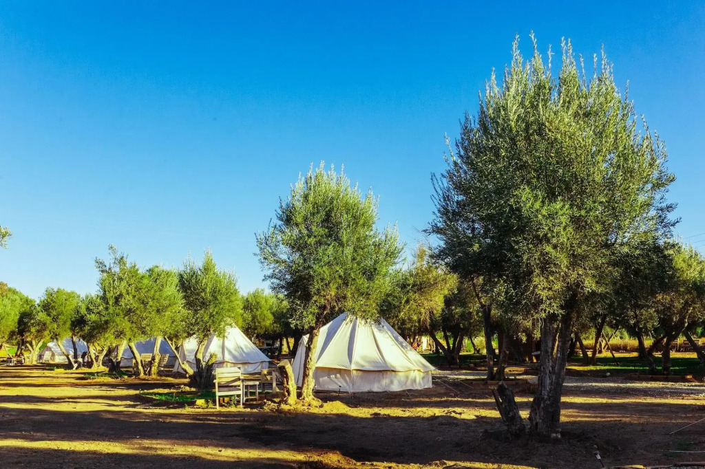 Guadalupe Valle Glamping