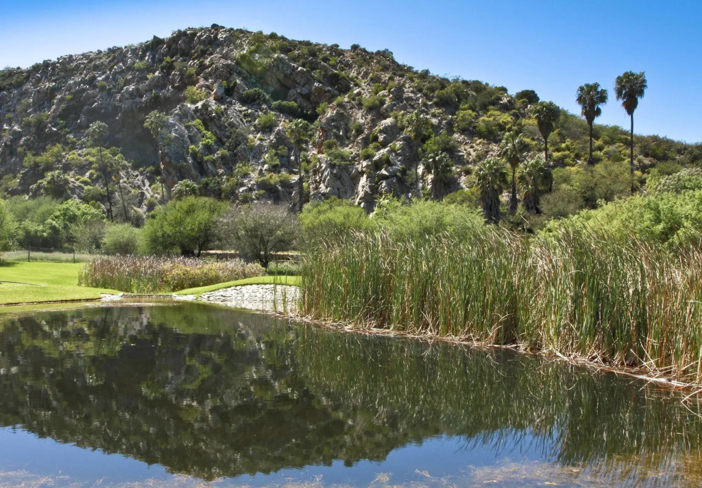 Montagu Vines Guesthouse