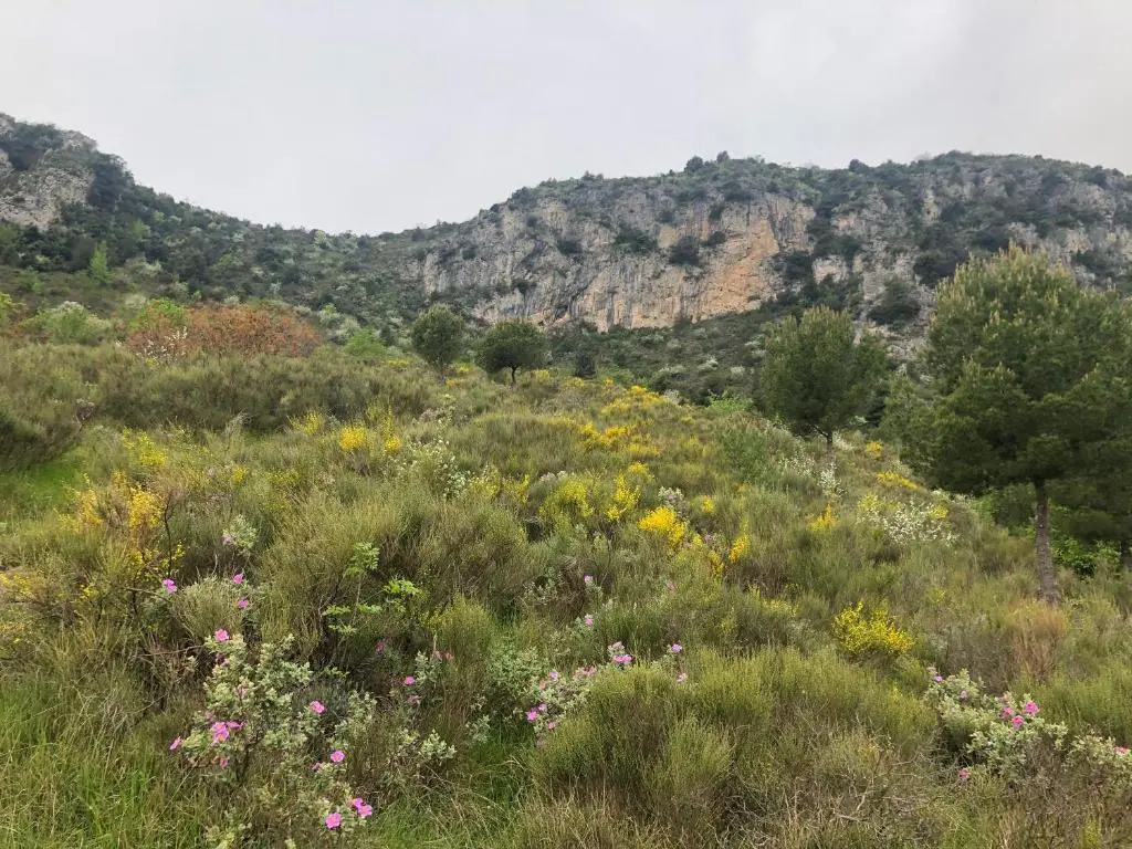 "Aux Balcons du Riou" avec vue mer 180 degrés