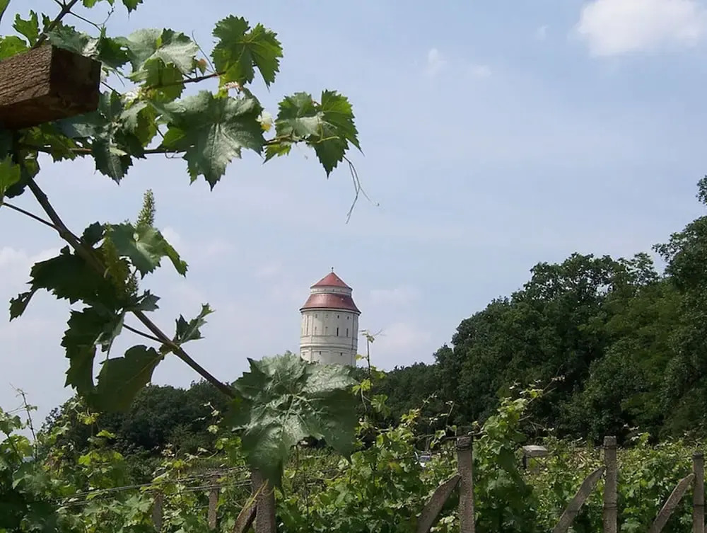"weinberg Uitzicht" in het Felix Huis
