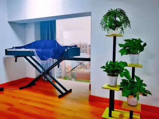 Kite Suixin Apartment (Dehua Road Shop)