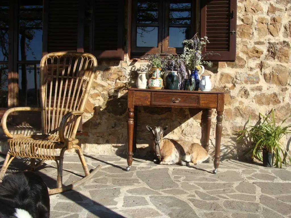 Nocini di Maremma