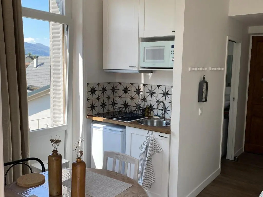 Appartement Aix-les-Bains, 1 pièce, 2 personnes - FR-1-617-15