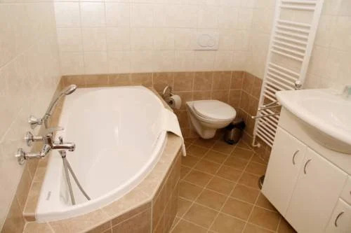 Hotel Allvet