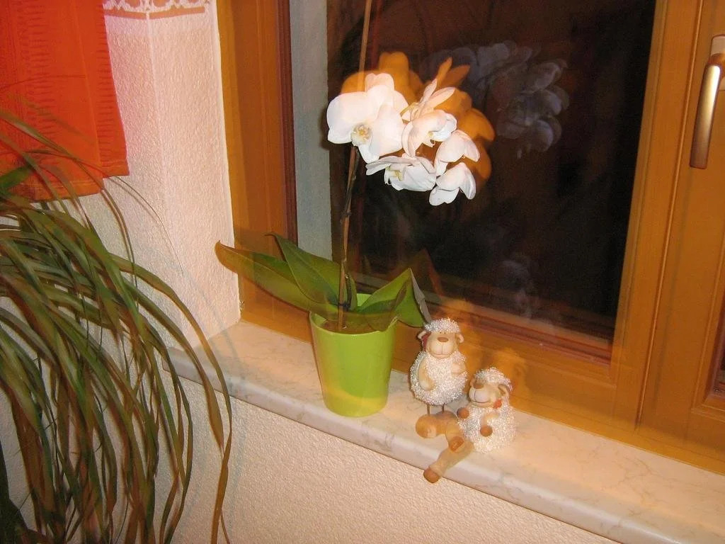 Haus Seppi