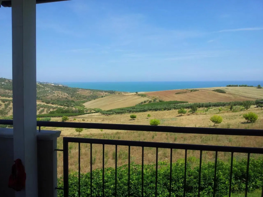 Colle Selvotta