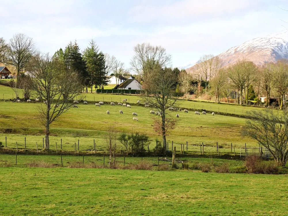 The Four Oaks Chalet