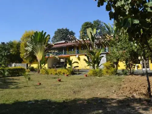 Bandhavgarh 365