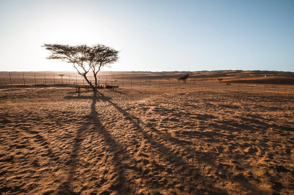 Кемпинг Sama Al Wasil Desert