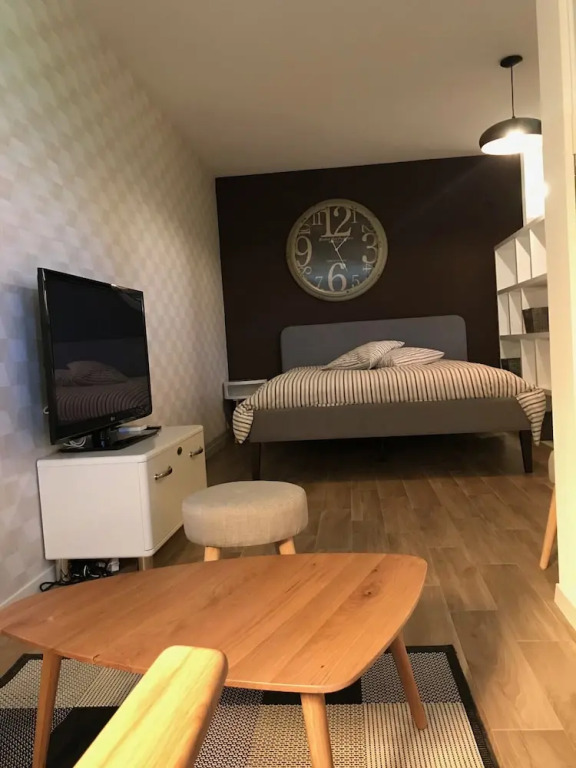 Large Studio Near Epfl And Lausanne City Center