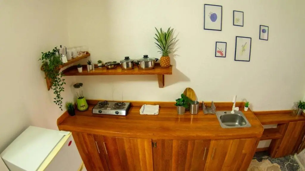 El jardín del coco, apartamento 14 - near La Playita beach