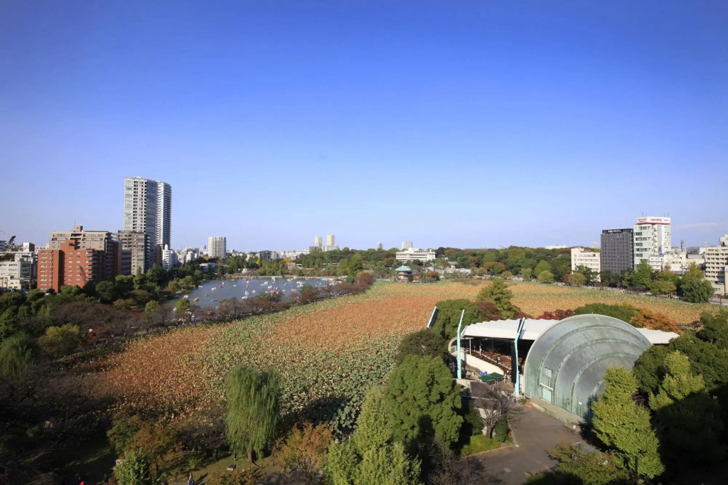 Centurion Ladies Hostel Ueno Park - Caters to Women