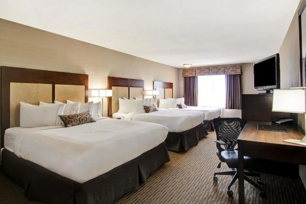 Canalta Hotel Esterhazy