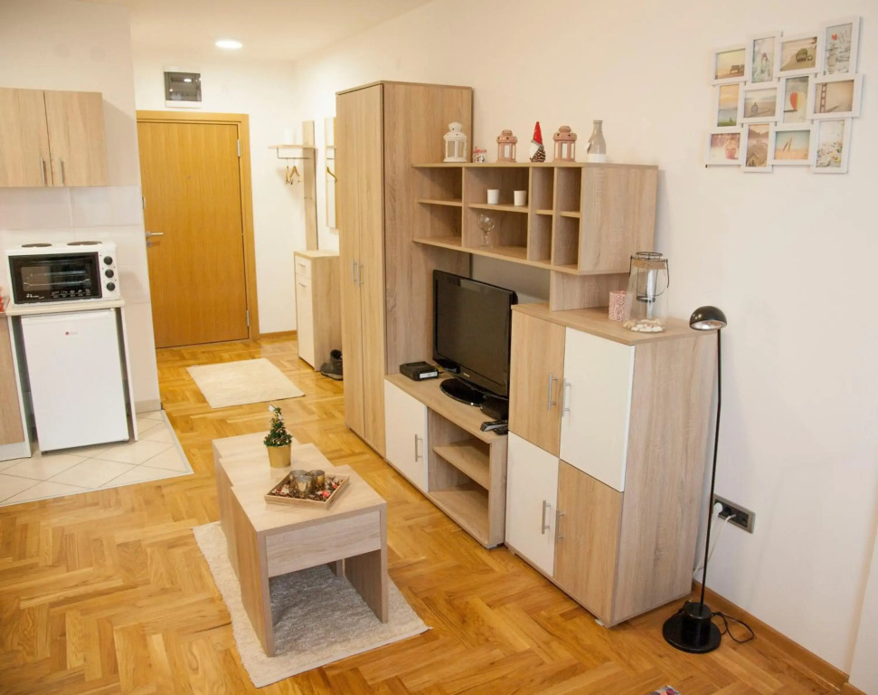 Apartment Vas Raj