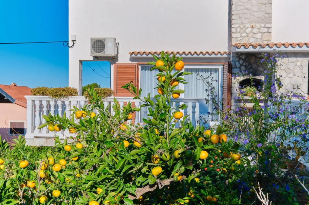 Luce - 50 m From sea - A3