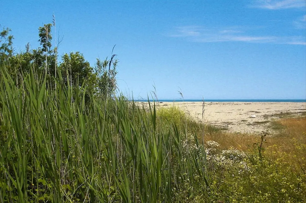 Spacious Corsica Stay for 8 Near Beach