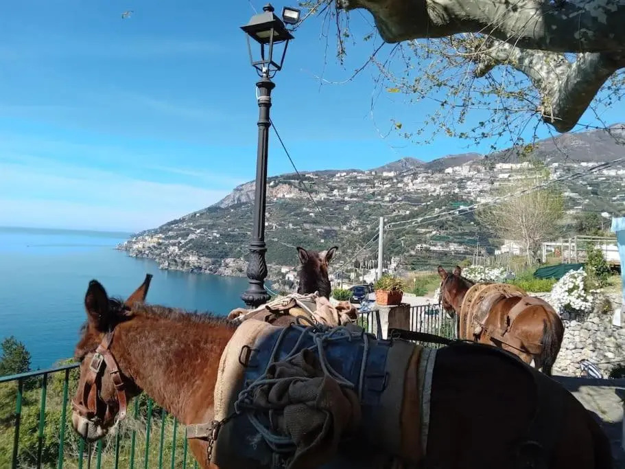 TakeAmalfiCoast Patchwork Rural House