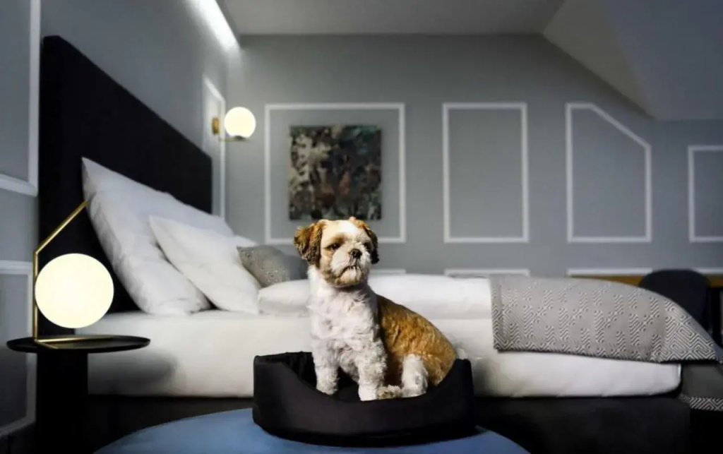 Kalix Boutique Hotel