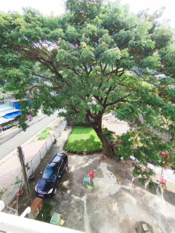 Sao Mai Guesthouse