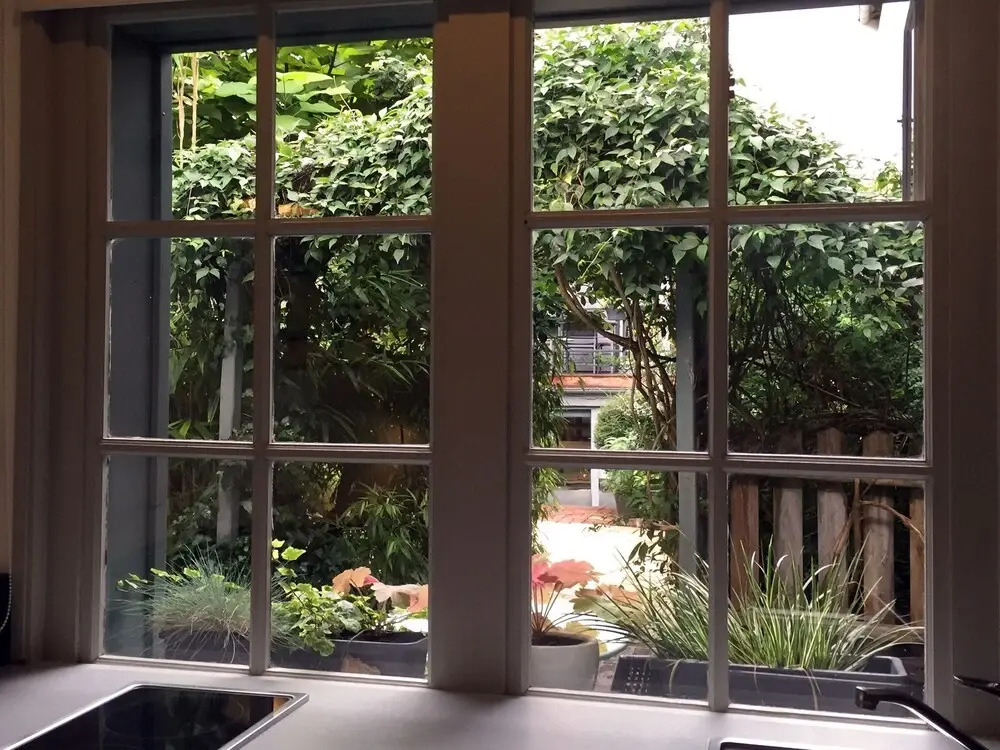 Studio 29