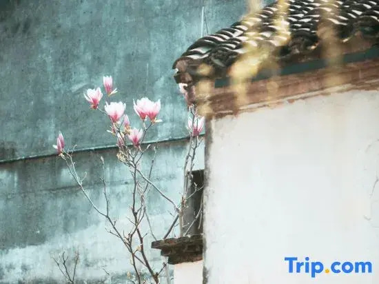 Yueshang Zen Space Homestay (Jinxi Ancient Town)