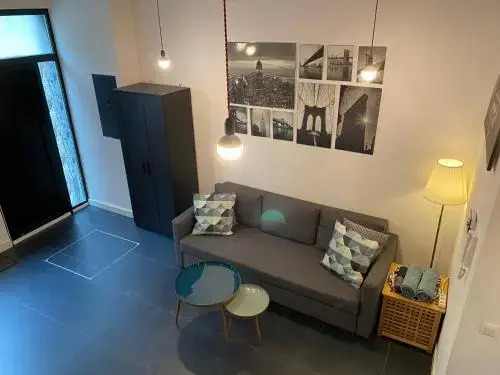 Modern cozy studio with backyard