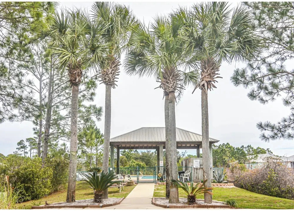 6015 Rookery 3 Tropic Like is hot