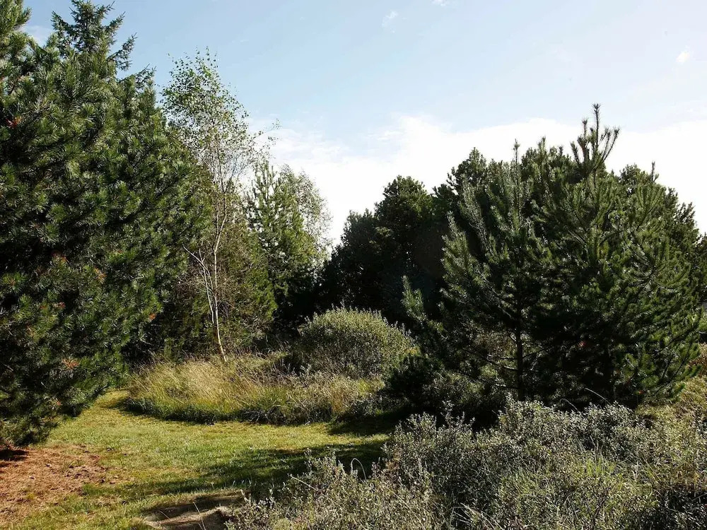 Chic Holiday Home in Fjerritslev With Whirlpool