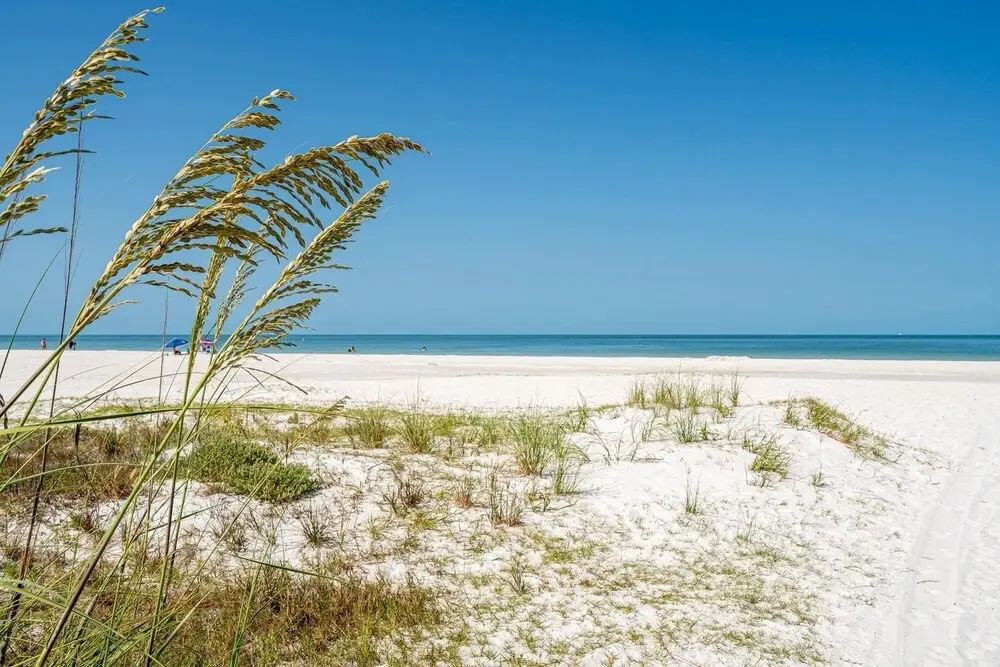 6050 Estero Blvd by Coastal Vacation Properties