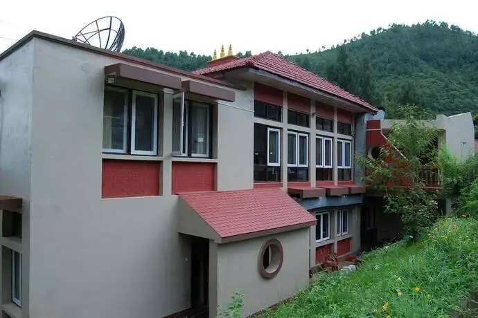 Windsor Evergreen
