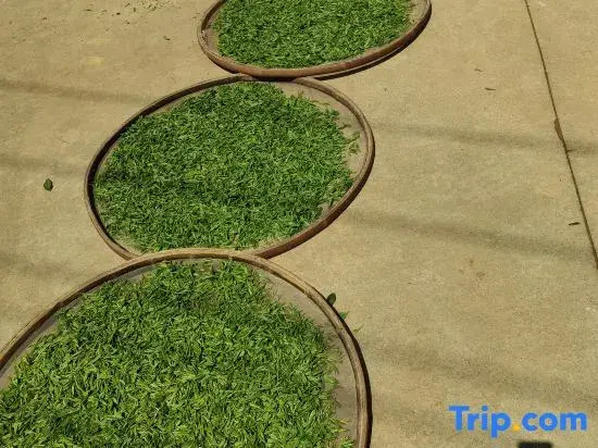 Hangzhou Xihu Scenic Area Hong'er Farm stay