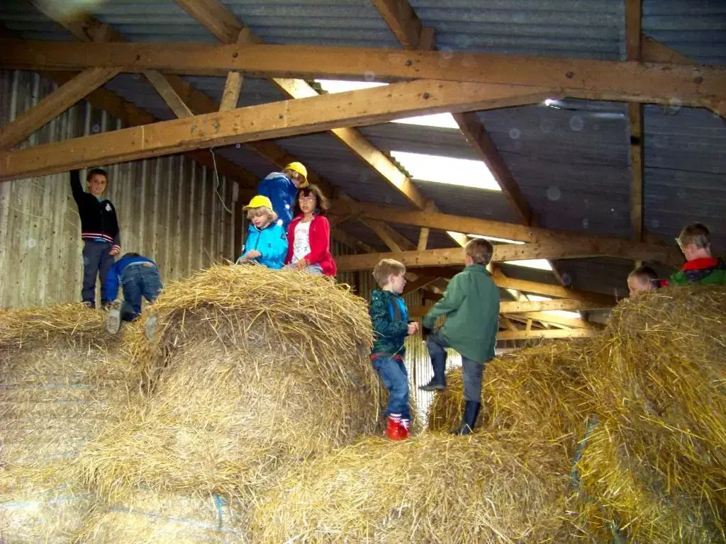 Le Cheval Rouge
