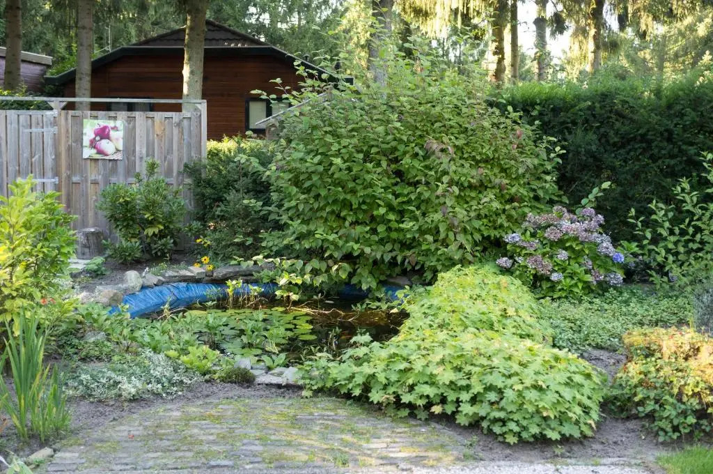 COZY & SPACIOUS PLACE ON A QUIET SPOT IN THE MIDDLE OF THE NETHERLANDS with free use of 2 womens and 2 mens bikes plus child seat