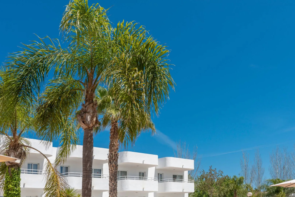 Olive Beach Apartamentos