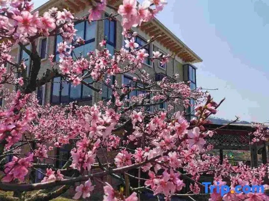 Hutaoling Yunjian Guesthouse