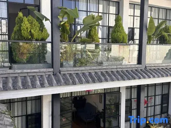 Raspberry Courtyard (Xizhou Ancient Town Store)