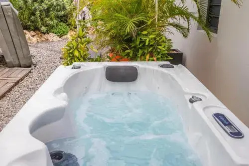 Villa Iguane House
