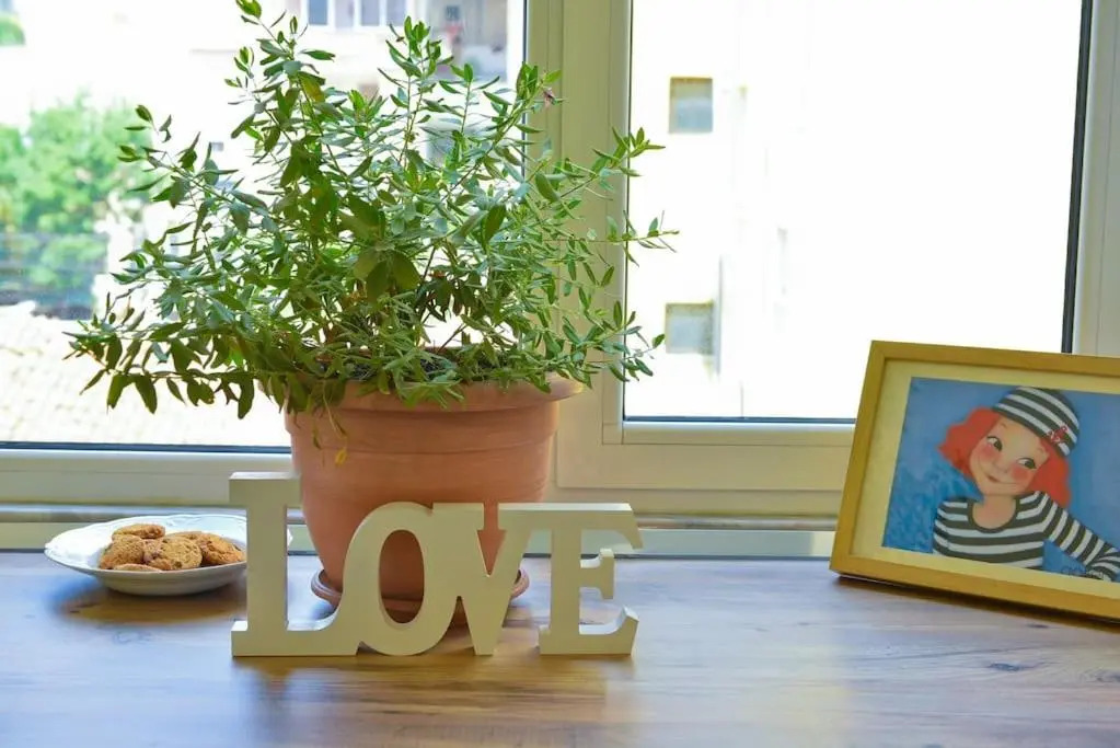 ✦ The Muse Apartment II