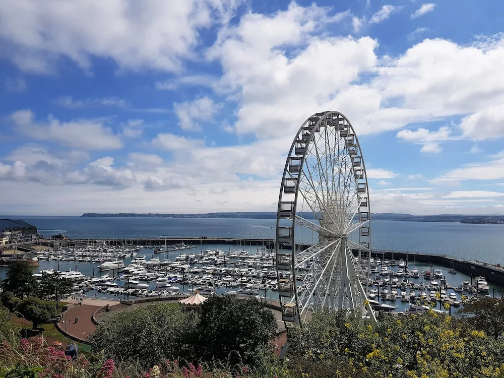 Tor View