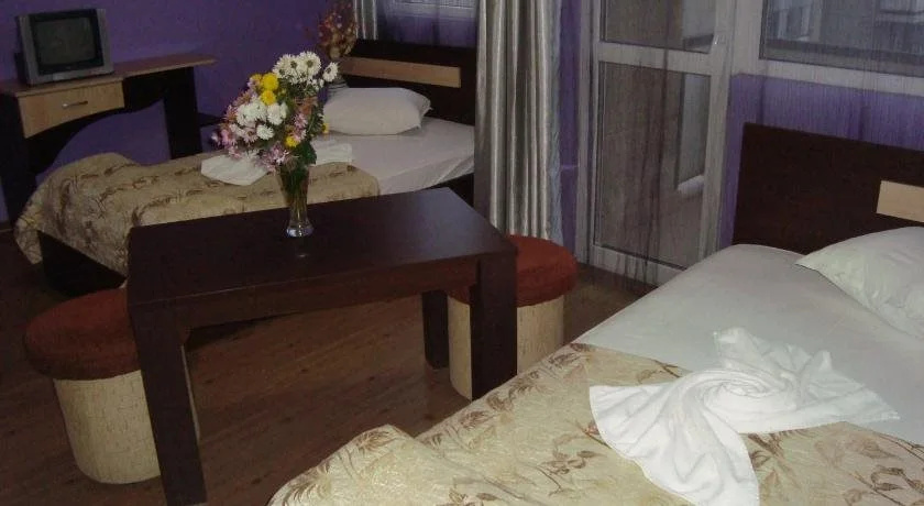 Hotel Han Krum