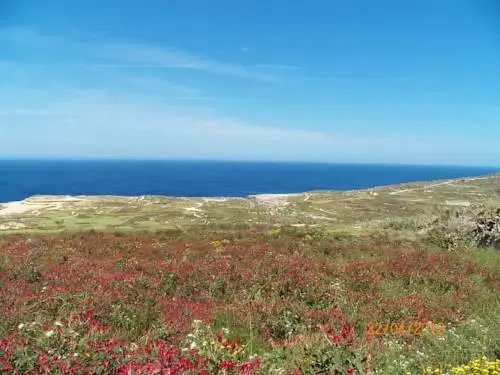 Lovely 3-Bedroom Apartment in Marsalforn, Gozo!