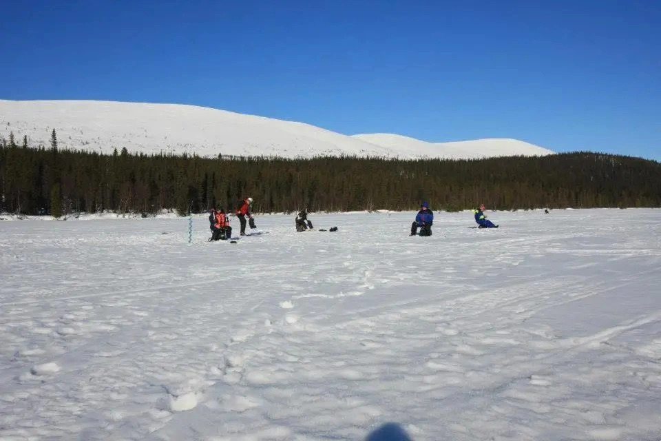 Kyrön Loma