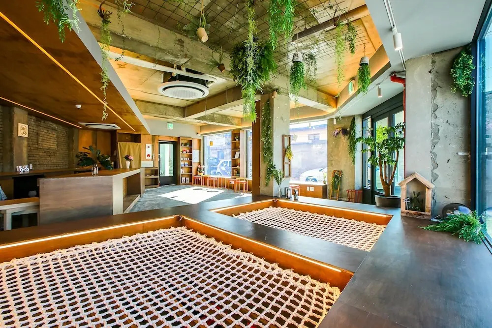 Soho259 Guesthouse