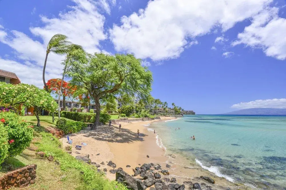 Kuleana 208 - 1Br Condo