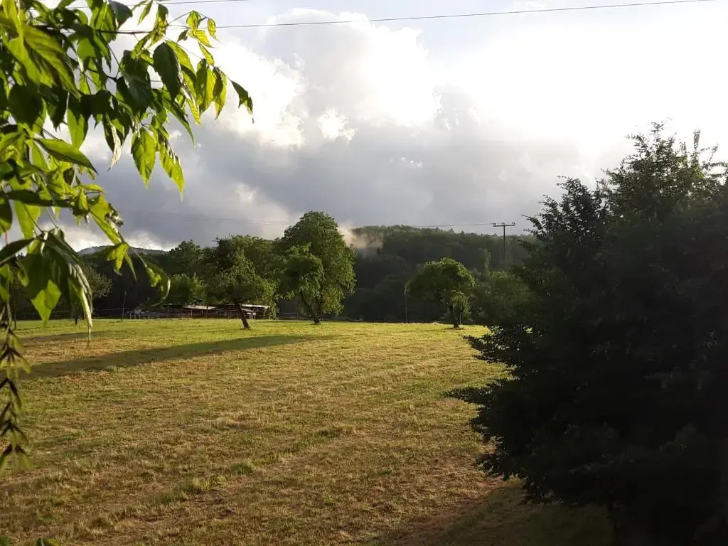 Paradiesli am Hochrhein