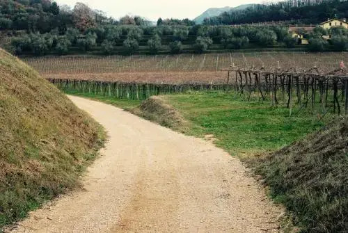 Rovertondo
