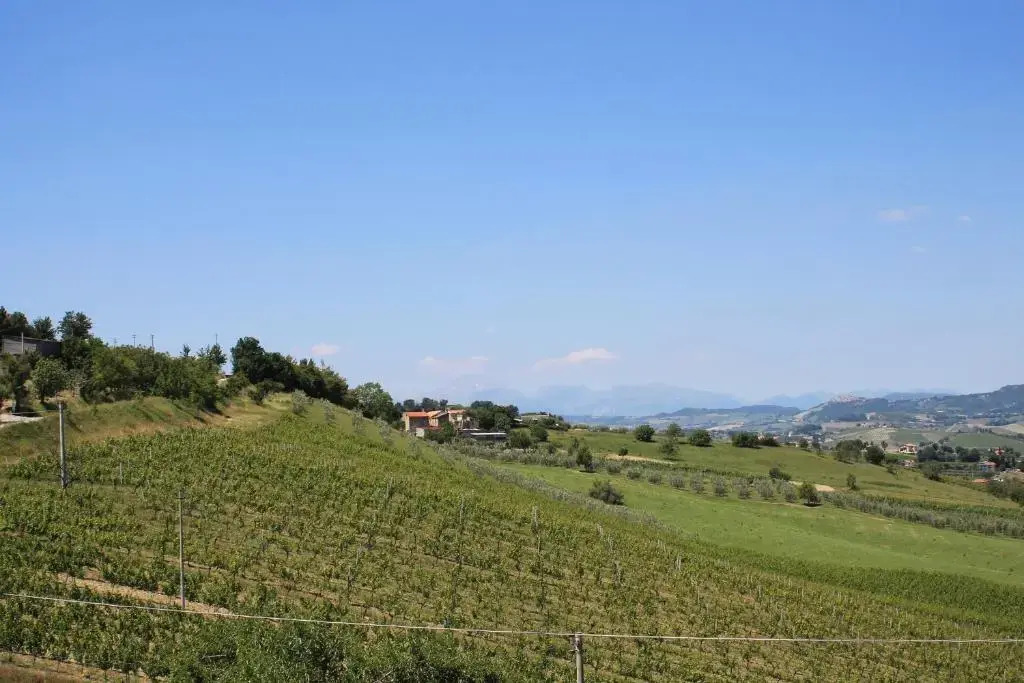 Dimora Rosso Piceno