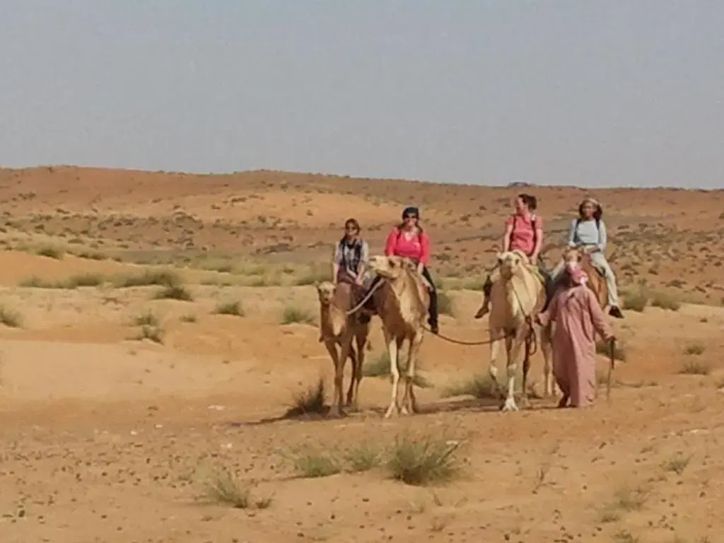 Desert Wonders Camp