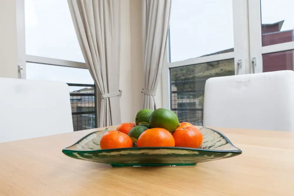 The Holyrood Road Apartment